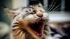 upload_2017-9-8_15-18-58.jpeg