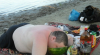 a42304d1d5009d4ddcc0a90fa612bdac.png