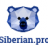 Siberian.pro